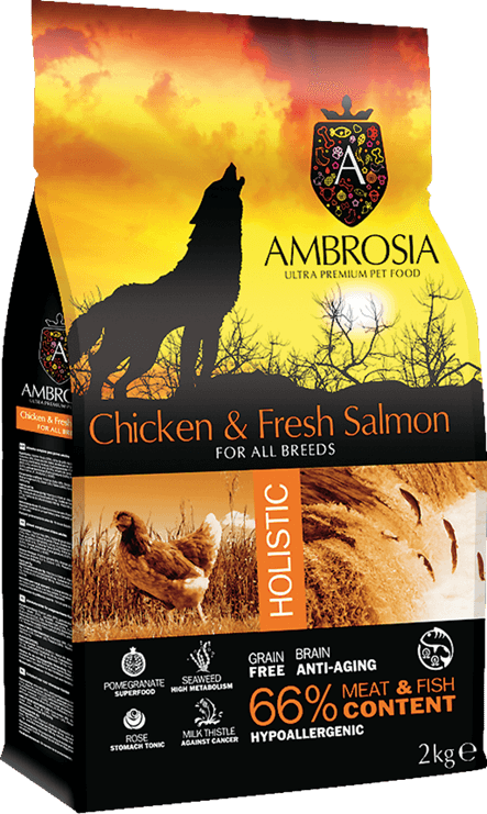 ambrosia-adult-chicken.png