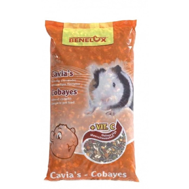 cavia.jpg