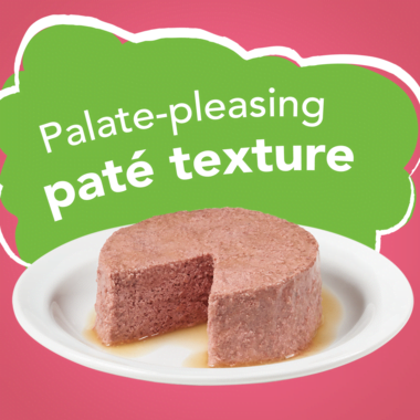 prdout_friskies-pate-salmon-wet-cat-food.png